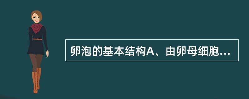 卵泡的基本结构A、由卵母细胞和卵泡细胞构成B、结缔组织构成卵泡膜C、放射冠和透明