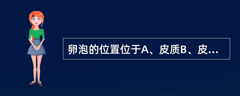 卵泡的位置位于A、皮质B、皮髓质交界处C、开始位于髓质，发育增大后可突入皮质D、