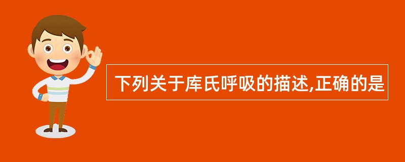 下列关于库氏呼吸的描述,正确的是