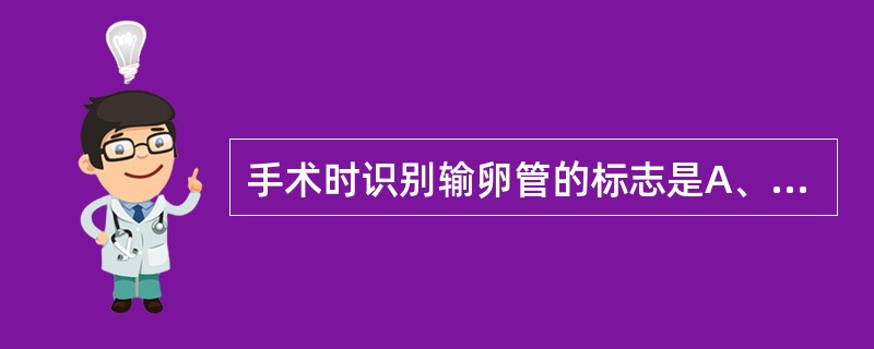 手术时识别输卵管的标志是A、输卵管伞B、输卵管系膜C、输卵管外侧端D、输卵管漏斗