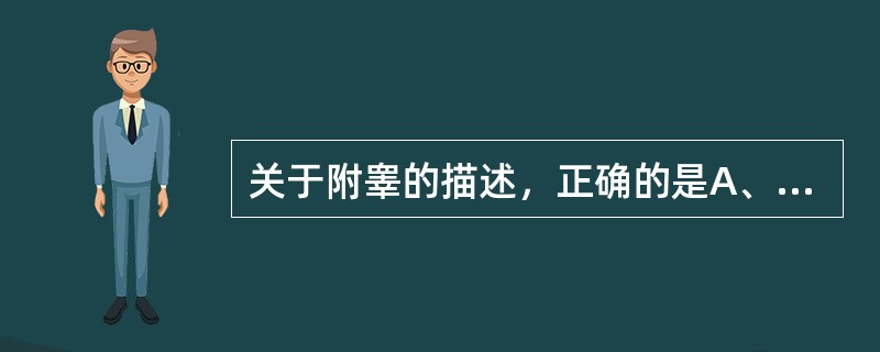 关于附睾的描述，正确的是A、为男性生殖腺B、是男性附属腺体之一C、附睾体和尾由附