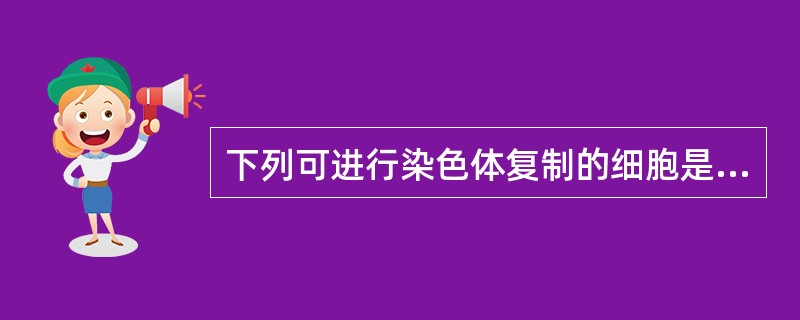 下列可进行染色体复制的细胞是A、精子B、支持细胞C、精原细胞D、次级精母细胞E、