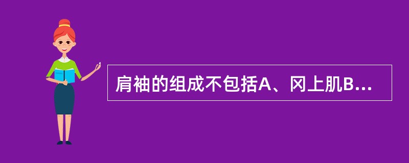 肩袖的组成不包括A、冈上肌B、冈下肌C、小圆肌D、大圆肌E、肩胛下肌