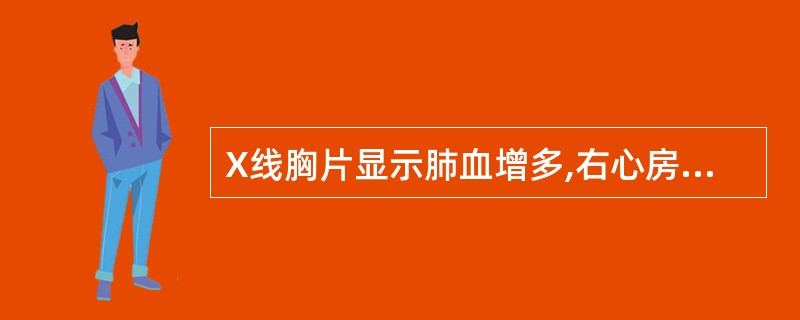 X线胸片显示肺血增多,右心房、右心室增大