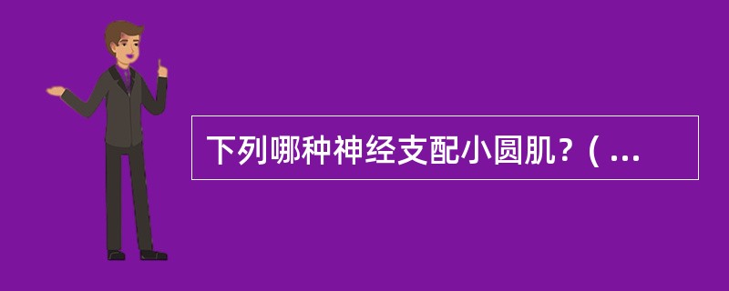 下列哪种神经支配小圆肌？( )A、肌皮神经B、腋神经C、肩胛下神经D、肩胛上神经