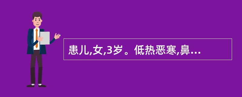 患儿,女,3岁。低热恶寒,鼻塞流涕,全身皮肤成批出疹,为红色斑疹和斑丘疹,继有疱