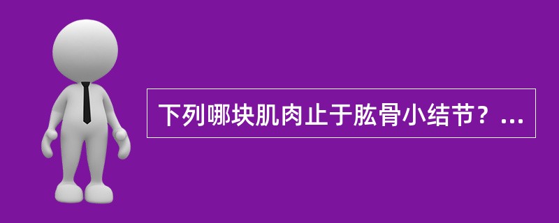 下列哪块肌肉止于肱骨小结节？( )A、大圆肌B、冈上肌C、小圆肌D、冈下肌E、肩