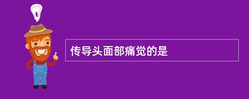 传导头面部痛觉的是