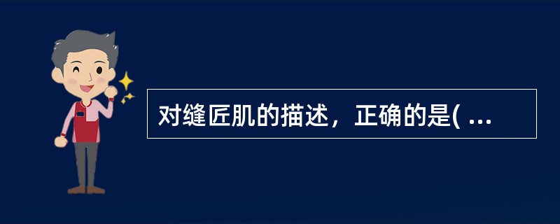 对缝匠肌的描述，正确的是( )。A、由闭孔神经支配B、其内侧缘是股前区与股内侧区