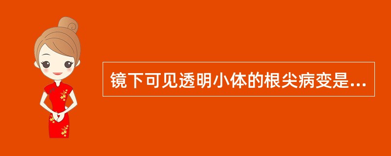 镜下可见透明小体的根尖病变是A、急性根尖周炎B、慢性根尖脓肿C、根尖肉芽肿D、根