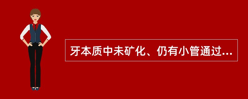 牙本质中未矿化、仍有小管通过的牙本质是（）A、前期牙本质B、管周牙本质C、球间