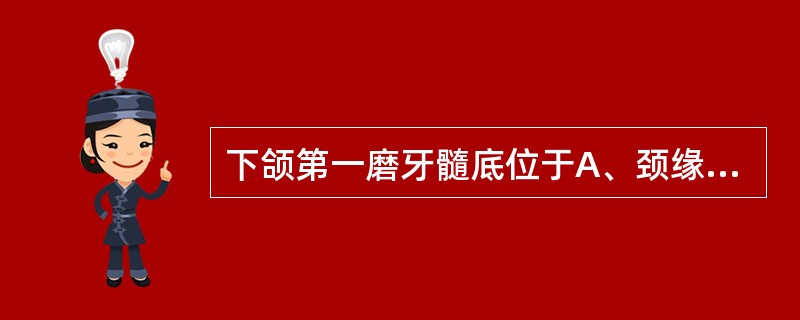 下颌第一磨牙髓底位于A、颈缘上2mmB、与颈缘平齐C、颈缘下2mmD、距根分歧处