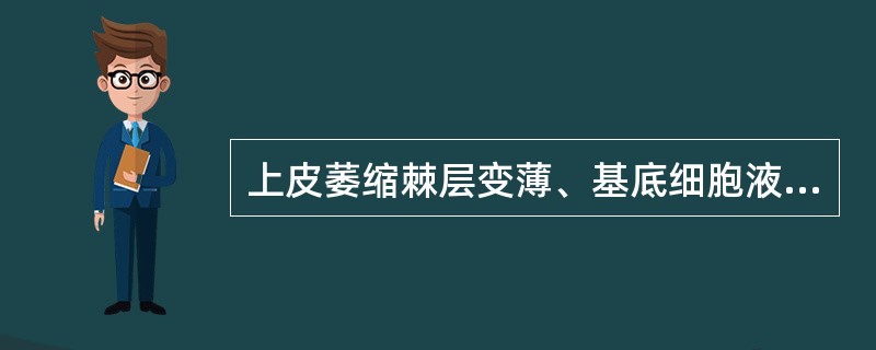 上皮萎缩棘层变薄、基底细胞液化变性的改变见于