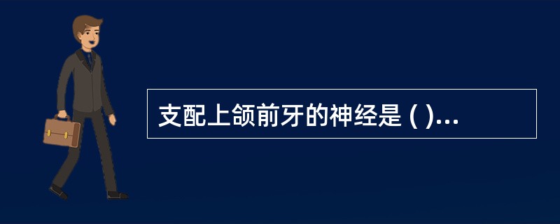 支配上颌前牙的神经是 ( )A、鼻腭神经B、眶下神经C、上牙槽前神经D、上牙槽中