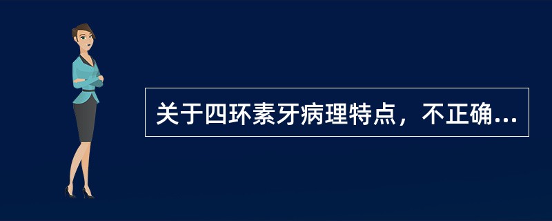 关于四环素牙病理特点，不正确的是A、四环素在牙本质中沉积的量比釉质多B、四环素在