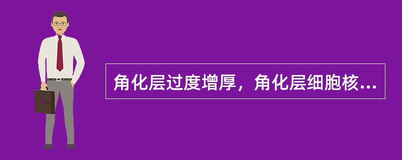 角化层过度增厚，角化层细胞核未消失，粒层不明显 ，该病变为（）A、过度正角化B