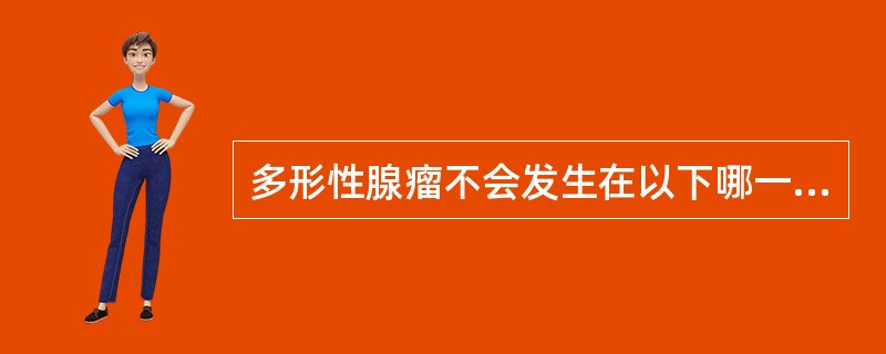 多形性腺瘤不会发生在以下哪一个部位A、副腮腺B、舌下腺C、上颌窦D、上腭E、牙龈