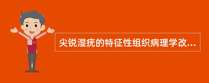 尖锐湿疣的特征性组织病理学改变为（）A、表皮角化不全B、棘层增生C、上皮钉突伸