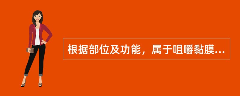 根据部位及功能，属于咀嚼黏膜的是A、颊黏膜B、软腭黏膜C、硬腭黏膜D、唇黏膜E、