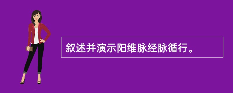 叙述并演示阳维脉经脉循行。