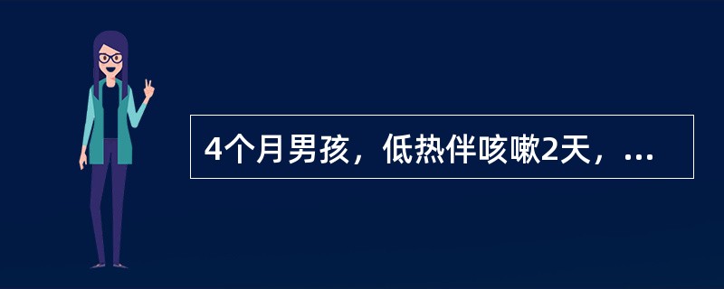 4个月男孩，低热伴咳嗽2天，喘憋加重1天，精神、食欲尚可。体检：体温37.8℃，