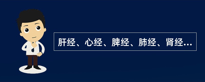 肝经、心经、脾经、肺经、肾经的位置依次是（）