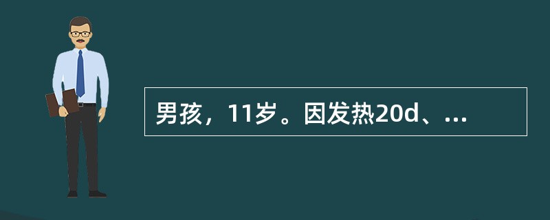 男孩，11岁。因发热20d、纳差、腹胀、便秘于1994年8月入院。体检：体温39