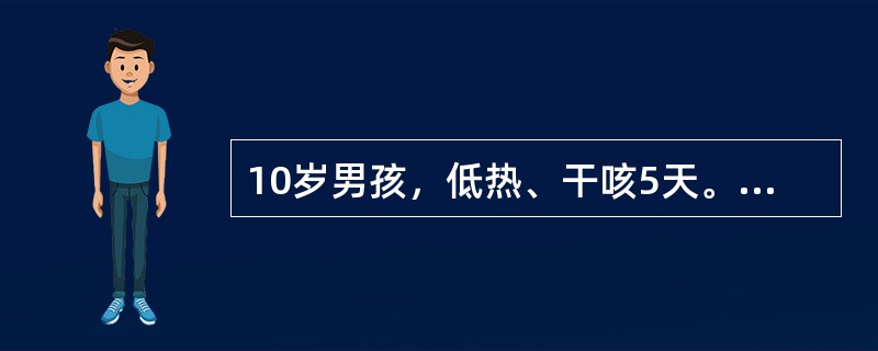 10岁男孩，低热、干咳5天。查体：两肺未闻及干、湿啰音。WBC8．9×10／L、