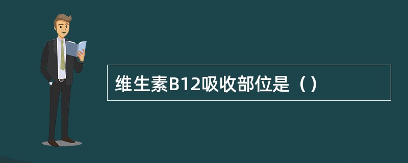 维生素B12吸收部位是（）