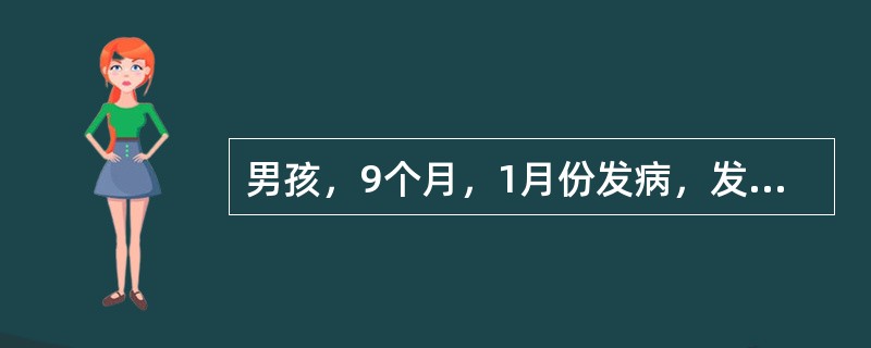 男孩，9个月，1月份发病，发热14小时，伴皮肤瘀斑2小时，体检：烦躁不安，面色青