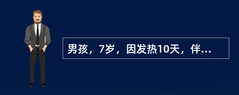 男孩，7岁，因发热10天，伴精神萎靡、纳差、腹胀，大便稀糊状，每日2次，经当地治