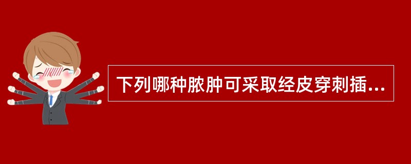 下列哪种脓肿可采取经皮穿刺插管引流术（）