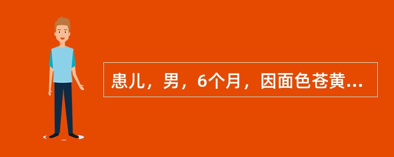 患儿，男，6个月，因面色苍黄2个月余来诊。患儿生长在农村，羊乳喂养，未加辅食，纳