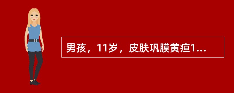 男孩，11岁，皮肤巩膜黄疸1周，进行性加重，伴恶心、呕吐、食欲下降，尿色呈深茶色