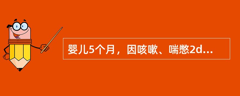 婴儿5个月，因咳嗽、喘憋2d而来诊。查体：体温38．2℃，营养状况尚可，气促，口