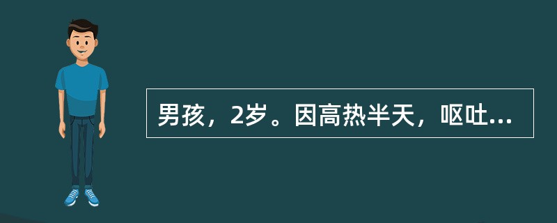 男孩，2岁。因高热半天，呕吐4次，反复抽搐2次于8月15日来诊。体检：体温40.