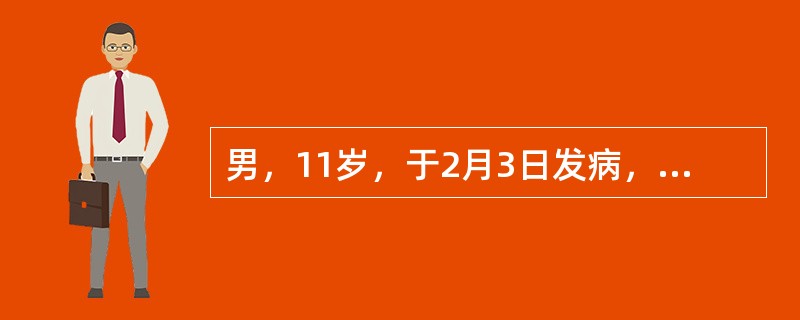 男，11岁，于2月3日发病，突起高热，头痛，呕吐2天入院。体检见全身皮肤有淤点、