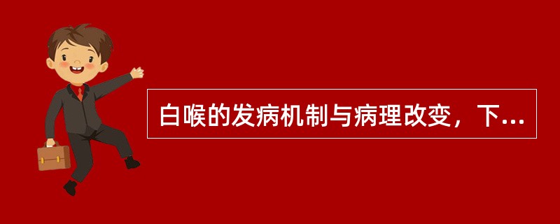 白喉的发病机制与病理改变，下列选项中正确的是（）