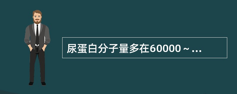 尿蛋白分子量多在60000～500000为（）