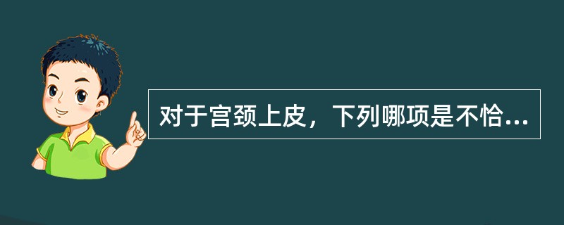 对于宫颈上皮，下列哪项是不恰当的（）