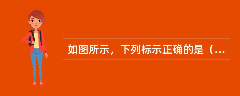 如图所示，下列标示正确的是（）。