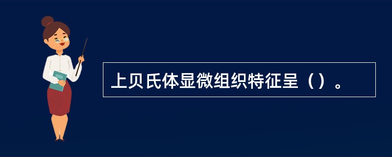 上贝氏体显微组织特征呈（）。