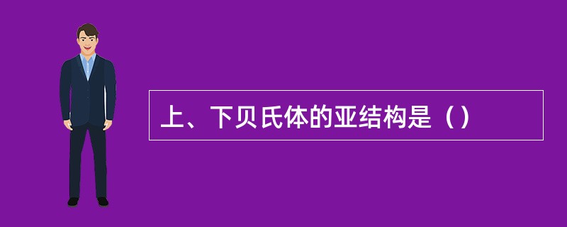 上、下贝氏体的亚结构是（）