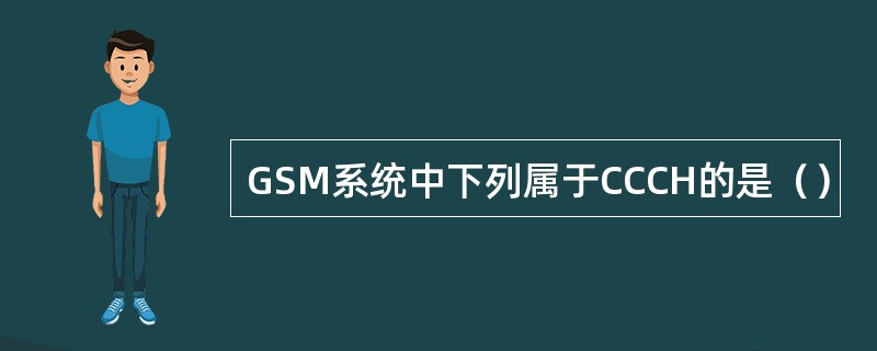 GSM系统中下列属于CCCH的是（）