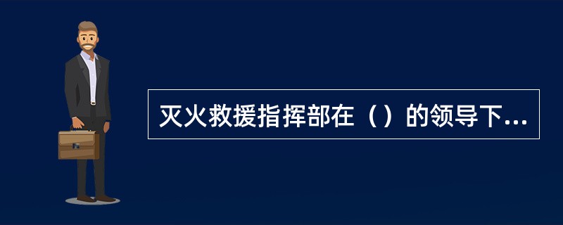 灭火救援指挥部在（）的领导下开展工作。