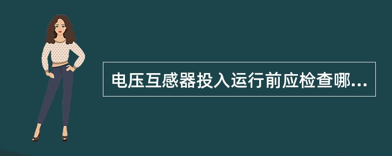 电压互感器投入运行前应检查哪些项目？