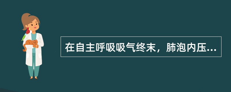 在自主呼吸吸气终末，肺泡内压力与下列哪种压力最接近（）