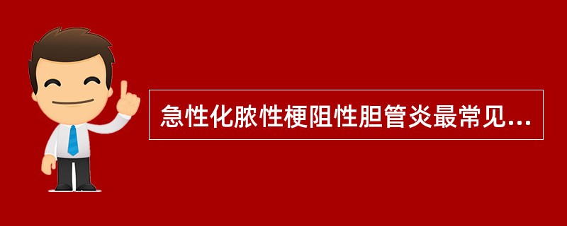 急性化脓性梗阻性胆管炎最常见的梗阻原因是（）