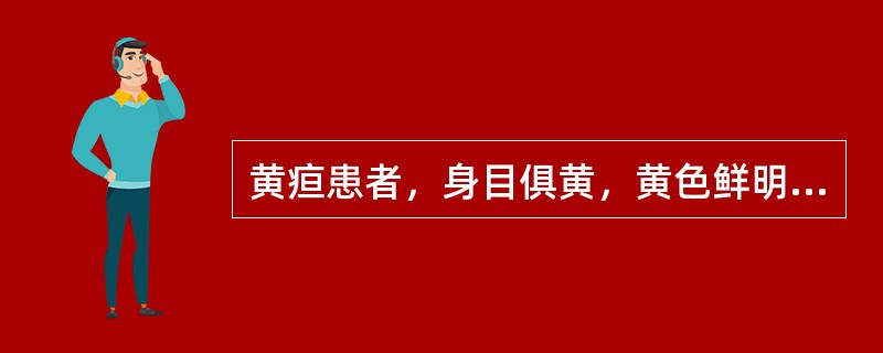 黄疸患者，身目俱黄，黄色鲜明，恶心欲吐，发热恶寒，无汗身痛，小便短赤，舌苔薄黄腻