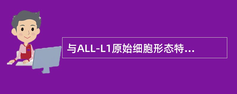 与ALL-L1原始细胞形态特点不符合的是（）